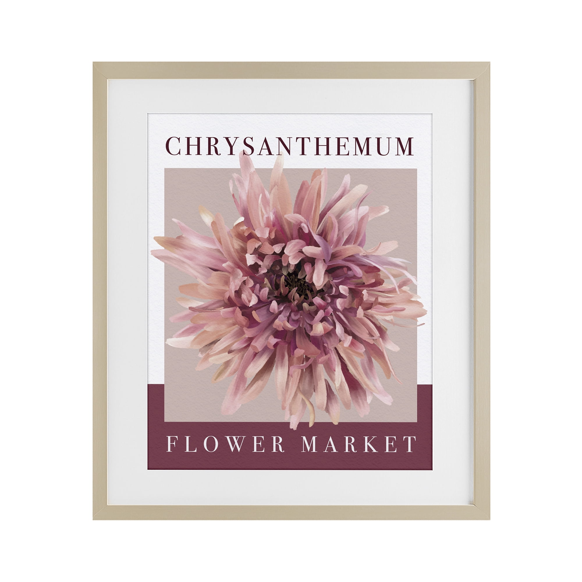 Stupell Industries Chrysanthemum Flower Market Birch Framed Print Under Glass, design by Jennifer Stith