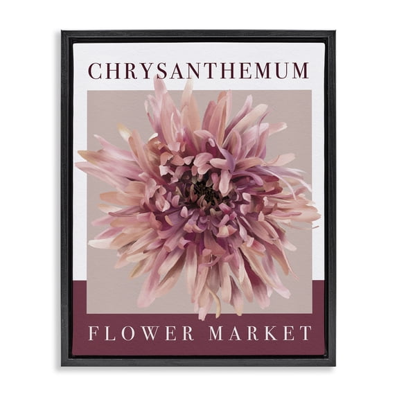 Stupell Industries Contemporary Chrysanthemum Flower Market Black Floating Frame Canvas Art, 17 x 21, by Jennifer Stith