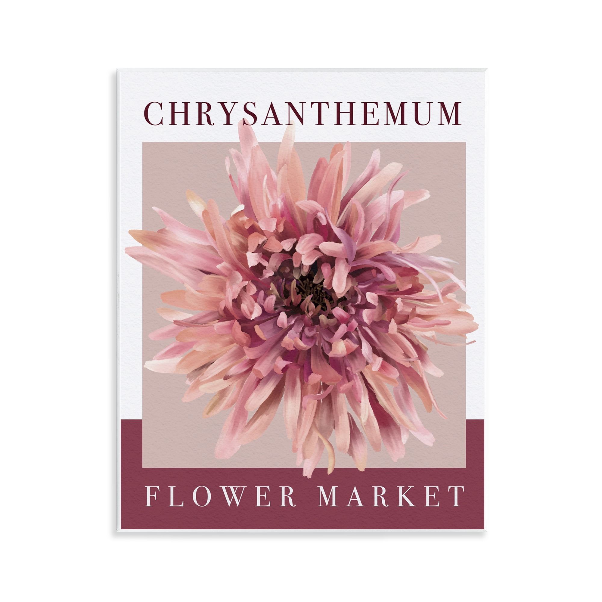 Stupell Industries Chrysanthemum Flower Market Wall Plaque Art, design by Jennifer Stith