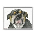thumbnail image 1 of Stupell Industries Chubby Bulldog Portrait Old Dog Charm Black Brown Grey Framed, 11 x 14, Design by George Dyachenko, 1 of 5