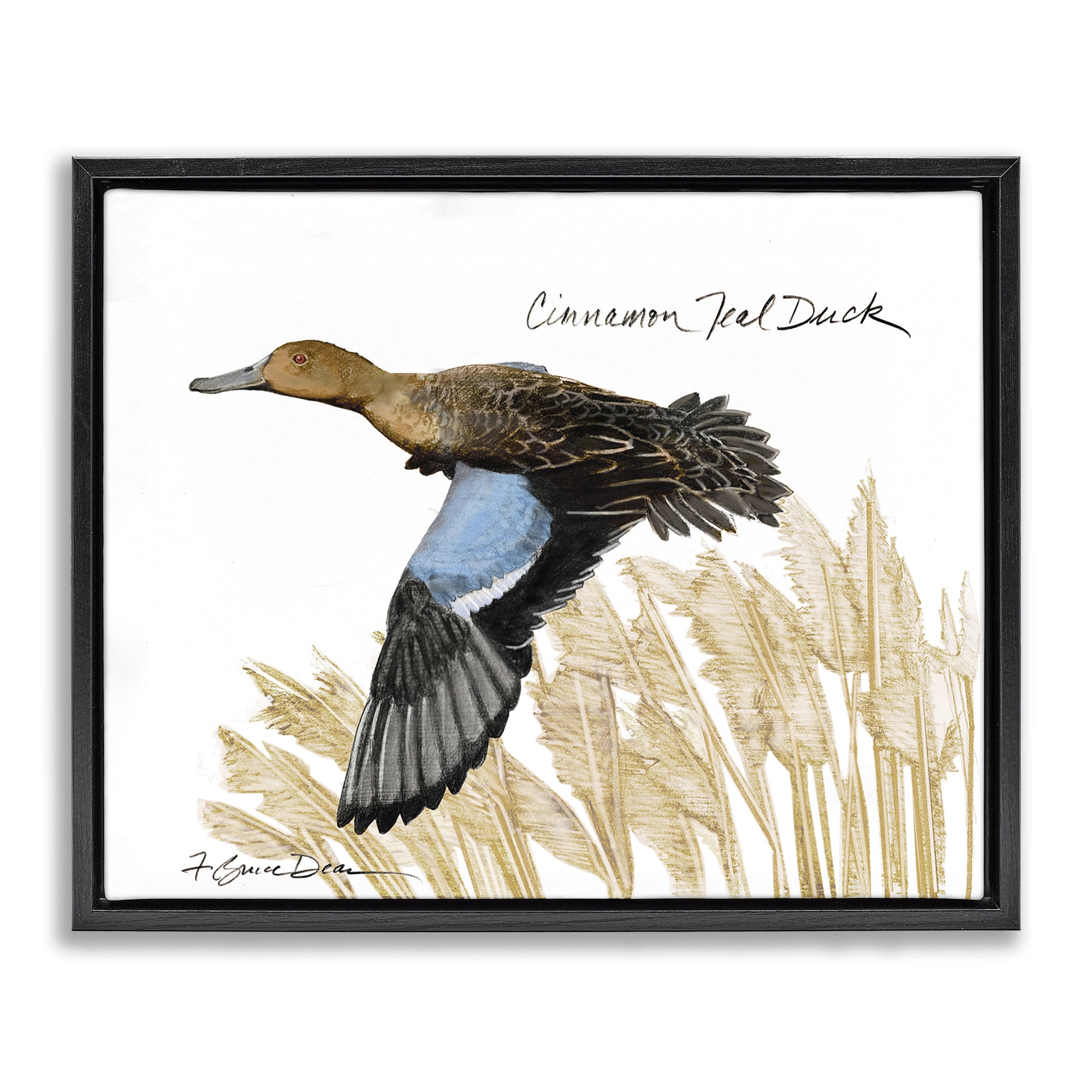 Stupell Industries Cinnamon Teal Duck Flying Animals & Insects Painting Black Floater Framed Canvas Art Print Wall Art, 21 x 17