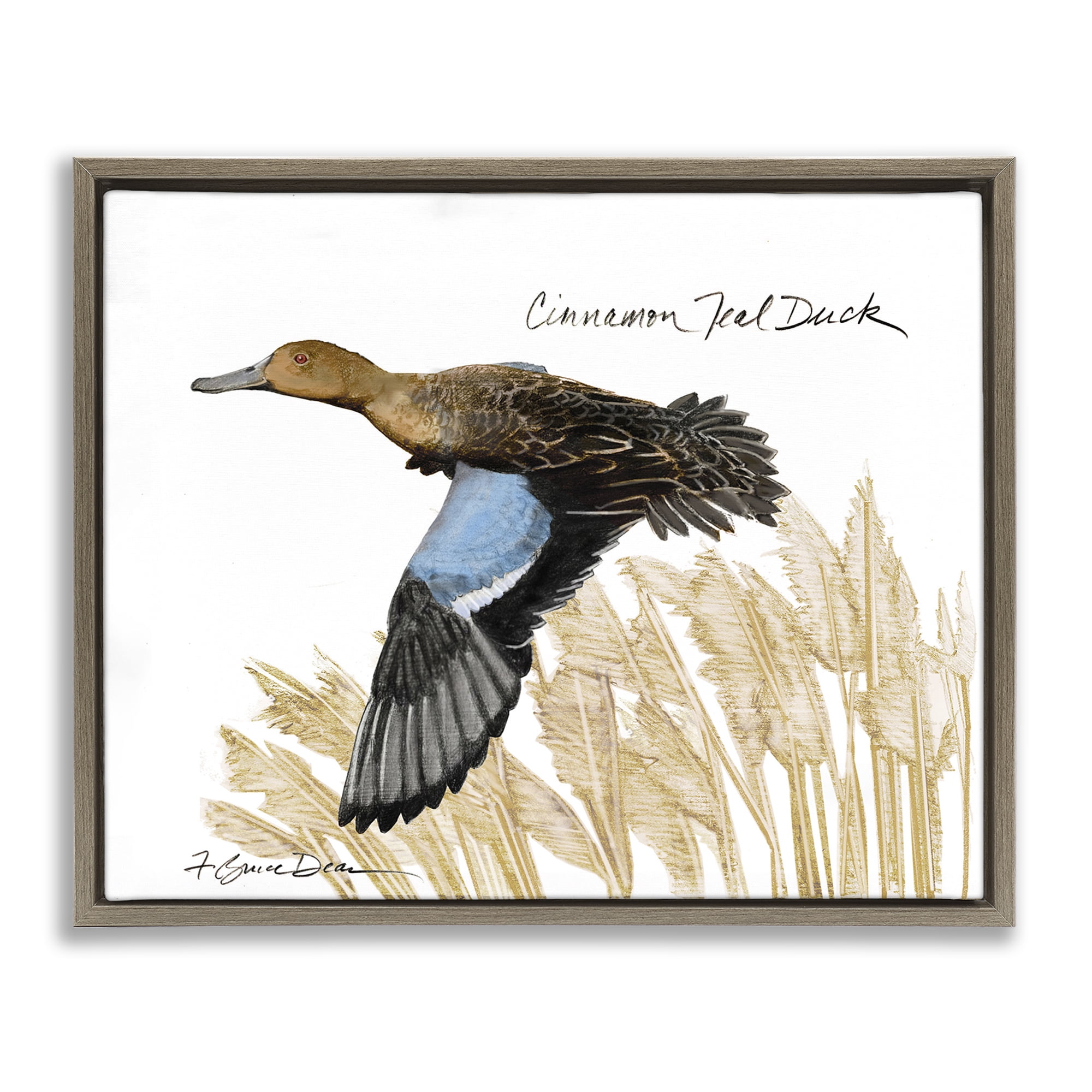 Stupell Industries Cinnamon Teal Duck Flying Animals & Insects Painting Brown Floater Framed Canvas Art Print Wall Art, 21 x 17