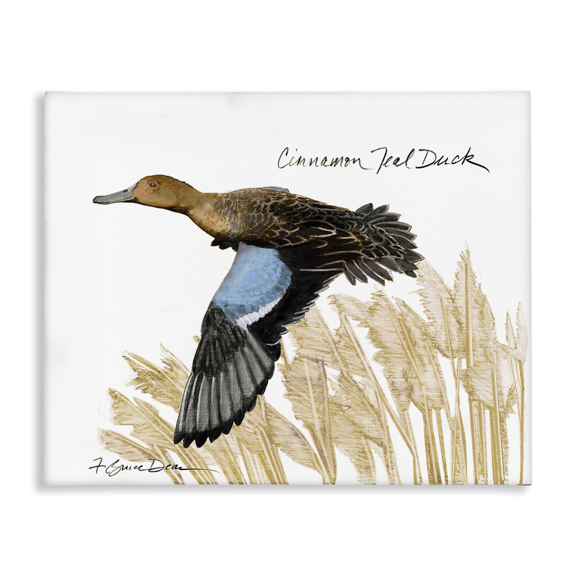 Stupell Industries Cinnamon Teal Duck Flying Animals & Insects Painting Gallery Wrapped Canvas Art Print Wall Art, 48 x 36