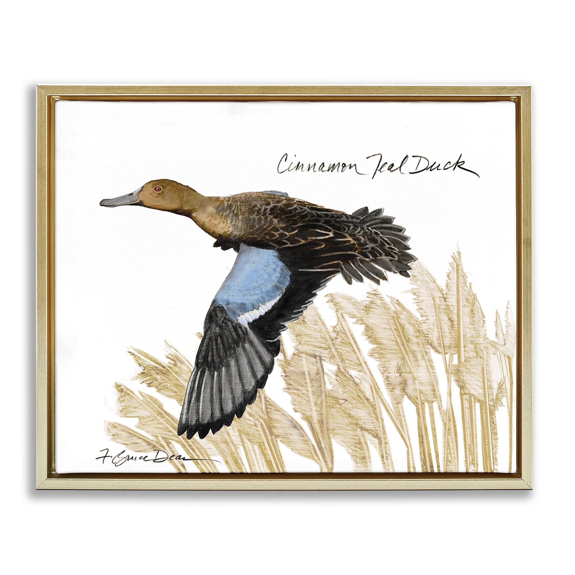 Stupell Industries Cinnamon Teal Duck Flying Animals & Insects Painting Gold Floater Framed Canvas Art Print Wall Art, 31 x 25