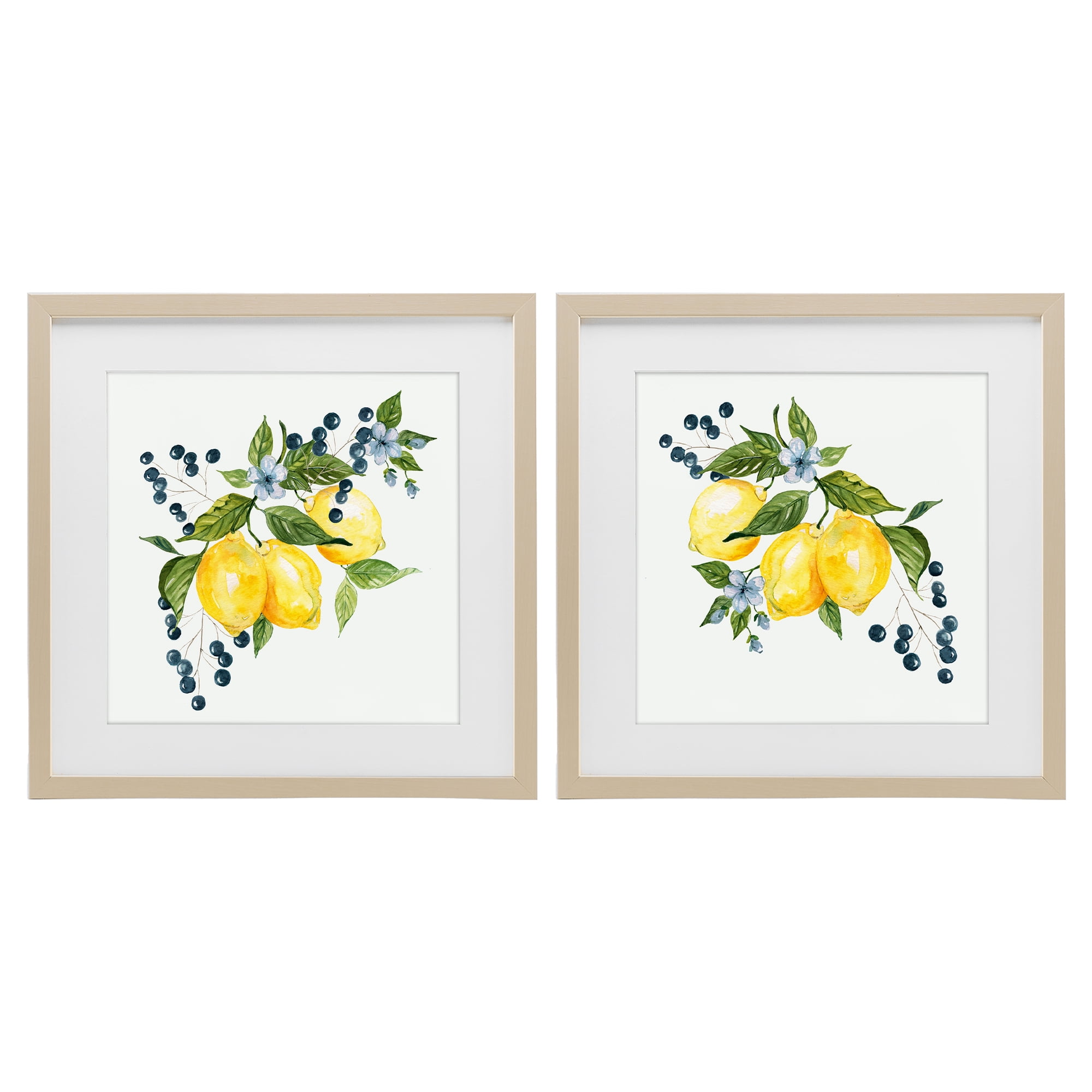 Stupell Industries Citrus & Berries Cluster 2 Piece Birch Framed Print Under Glass Set, design by Livi Finn
