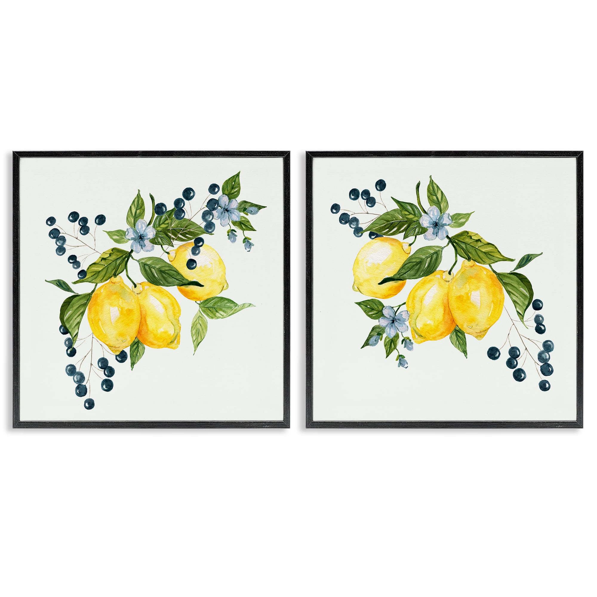 Stupell Industries Citrus & Berries Cluster 2 Piece Black Framed Giclee Art Set, design by Livi Finn