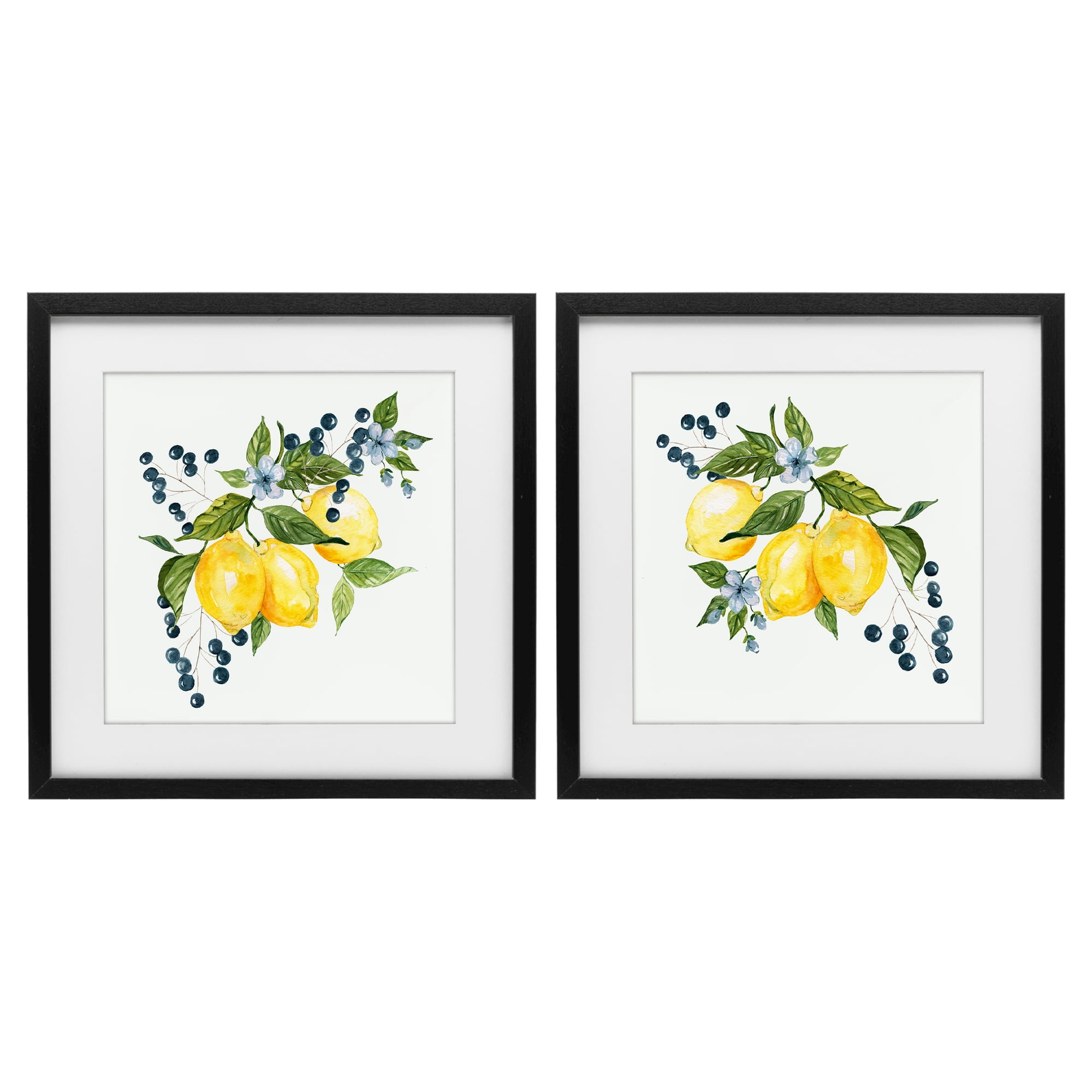 Stupell Industries Citrus & Berries Cluster 2 Piece Black Framed Print Under Glass Set, design by Livi Finn