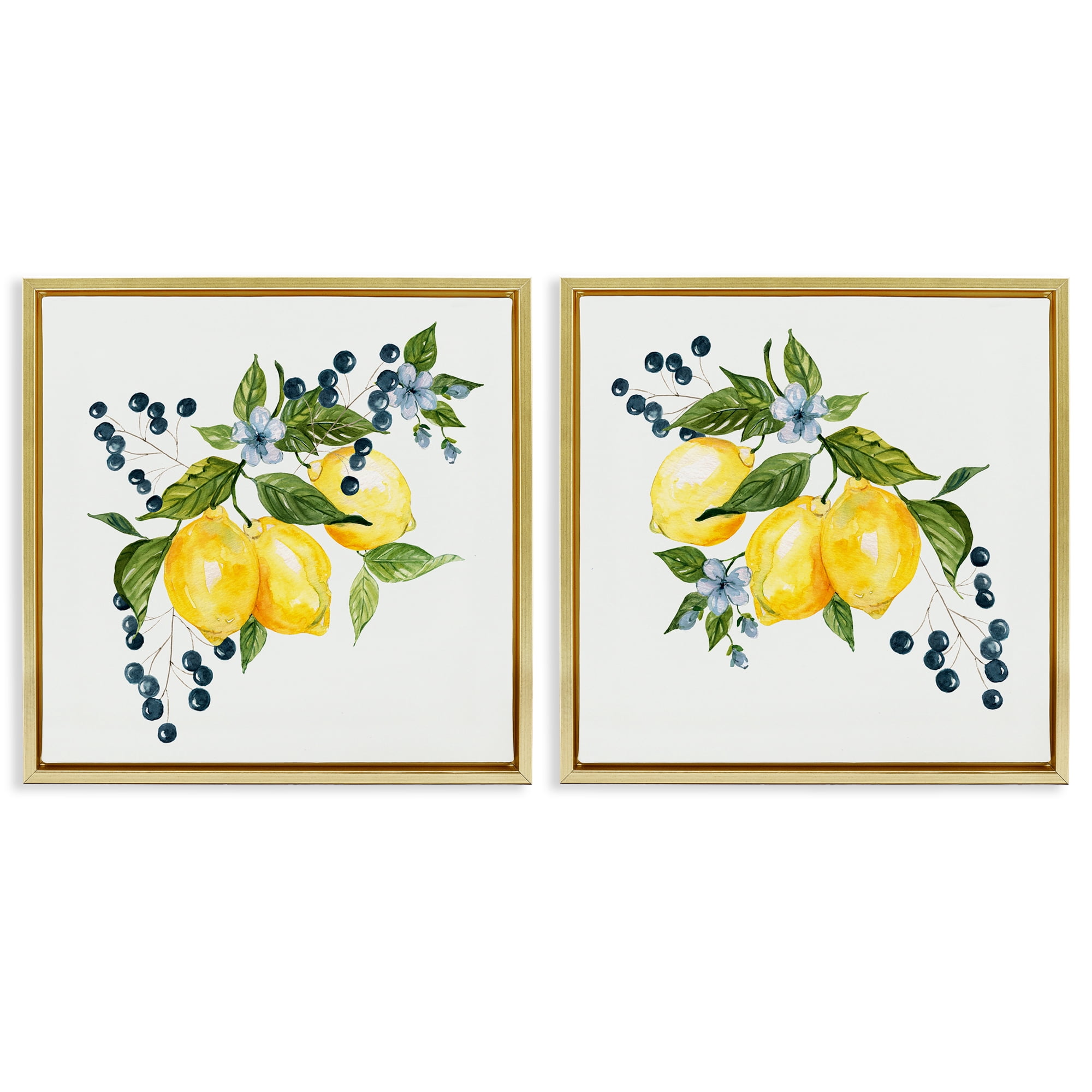 Stupell Industries Citrus & Berries Cluster 2 Piece Gold Framed Floater Canvas Set, design by Livi Finn