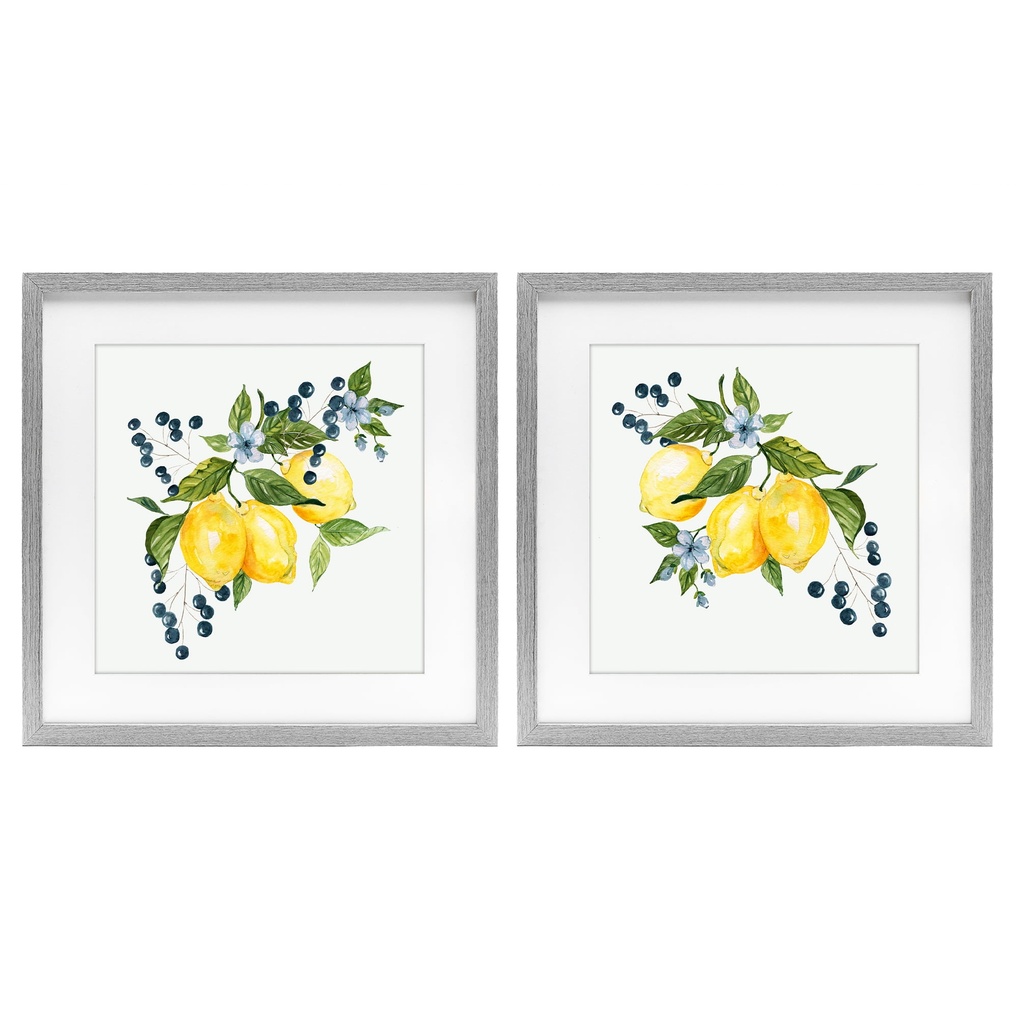 Stupell Industries Citrus & Berries Cluster 2 Piece Gray Framed Print Under Glass Set, design by Livi Finn