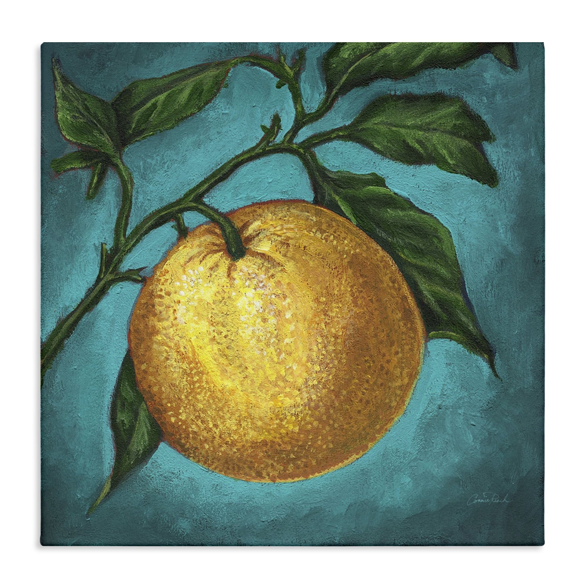 Stupell Industries Citrus Fruit on Branch Food & Beverage Painting Wrapped Canvas Art Print Wall Art, 24 x 24