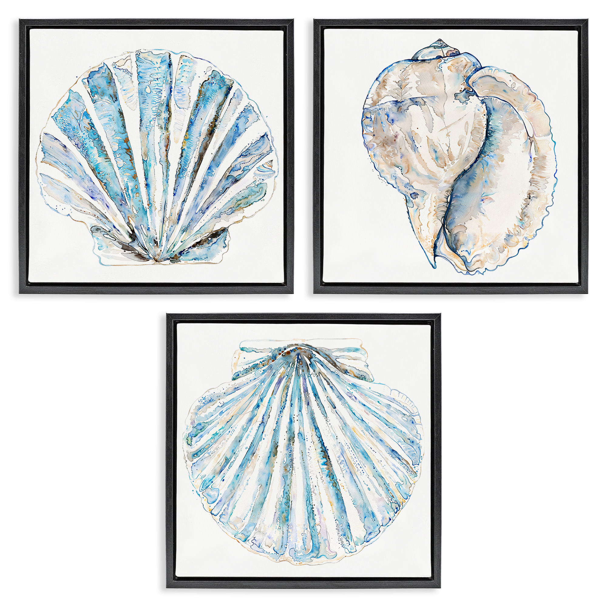 Stupell Industries Clam & Conch Watercolors Nautical & Beach Painting Black Floater Framed Canvas Art Print Wall Art, 25 x 25, Set of 3