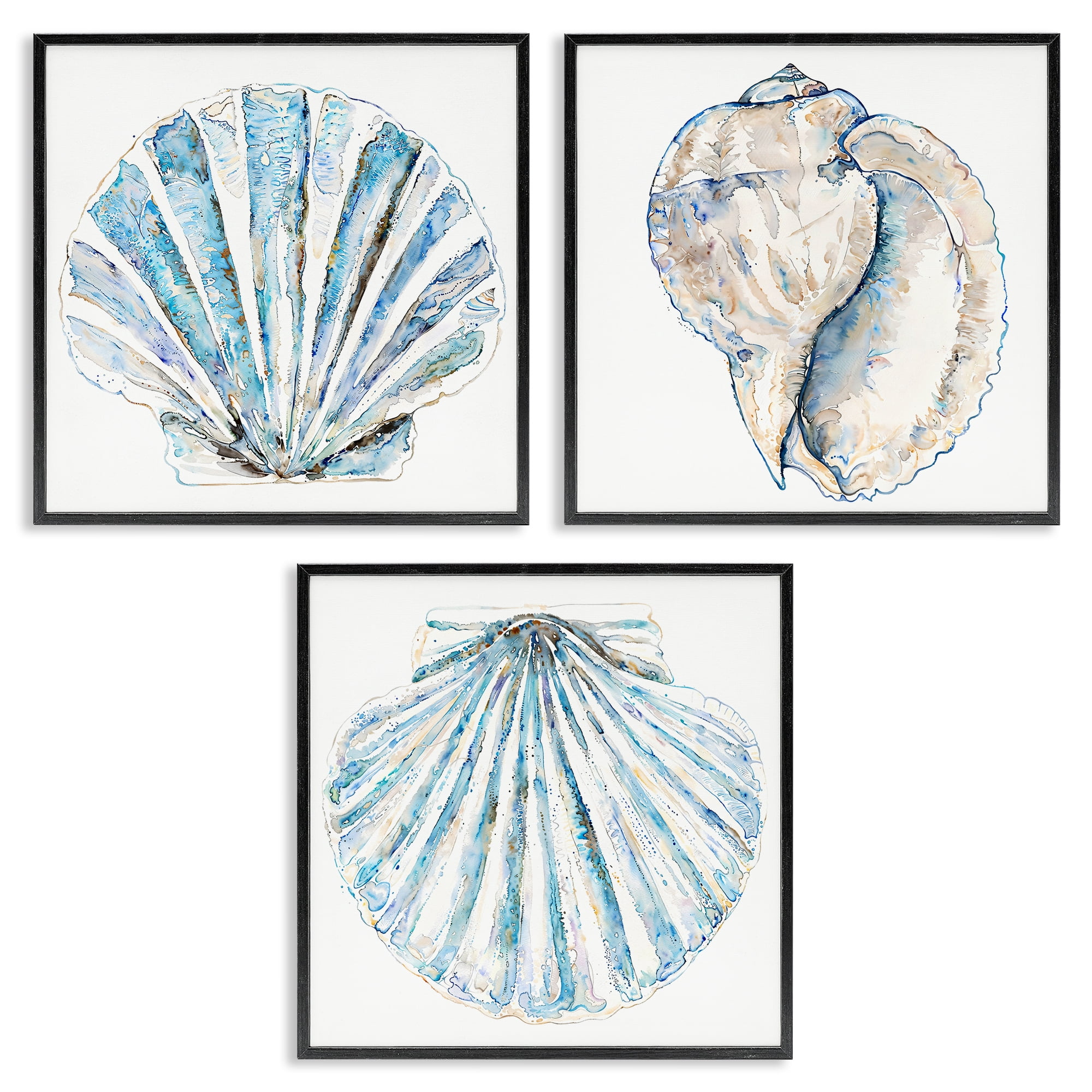 Stupell Industries Clam & Conch Watercolors Nautical & Beach Painting Black Framed Art Print Wall Art, 12 x 12, Set of 3