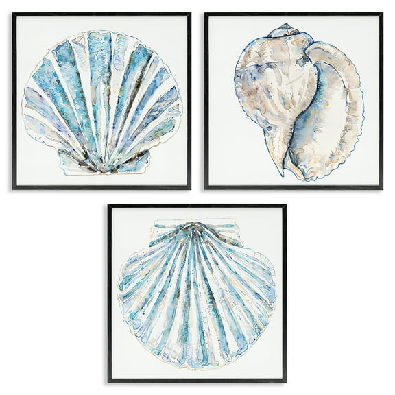 Stupell Industries Clam & Conch Watercolors Nautical & Beach Painting Black Framed Art Print Wall Art, 12 x 12, Set of 3