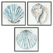 Stupell Industries Clam & Conch Watercolors Nautical & Beach Painting Black Framed Art Print Wall Art, 12 x 12, Set of 3