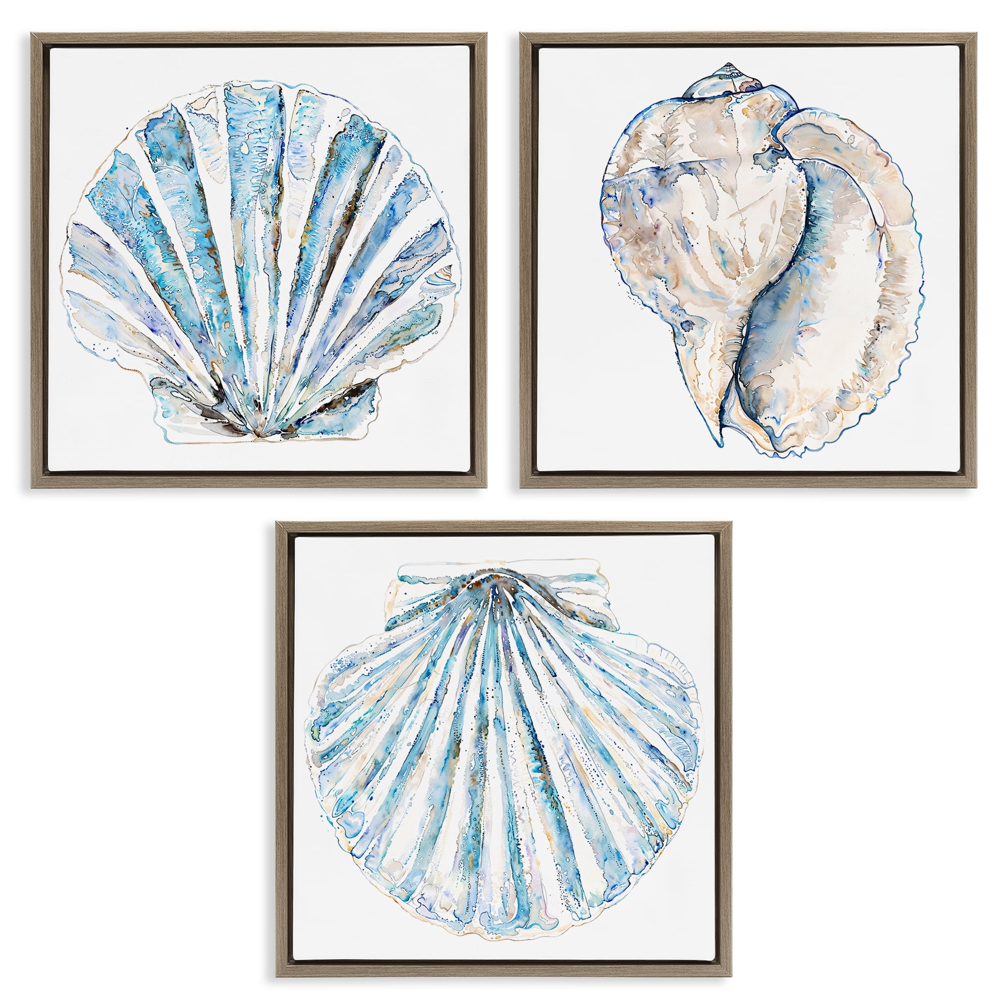 Stupell Industries Clam & Conch Watercolors Nautical & Beach Painting Brown Floater Framed Canvas Art Print Wall Art, 18 x 18, Set of 3