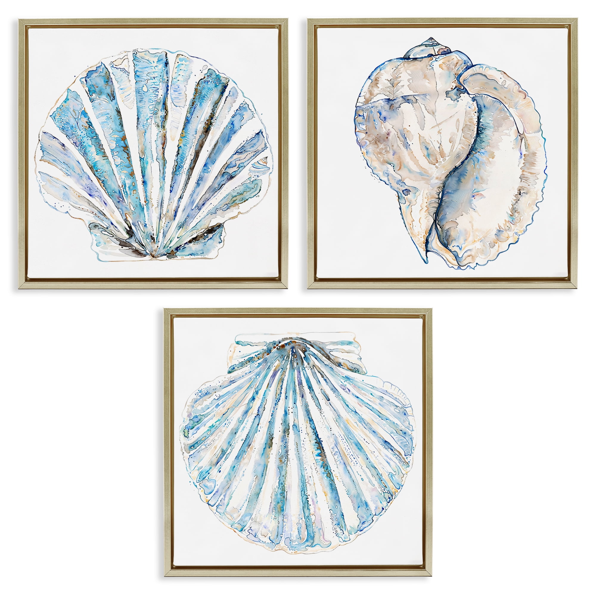Stupell Industries Clam & Conch Watercolors Nautical & Beach Painting Gold Floater Framed Canvas Art Print Wall Art, 18 x 18, Set of 3