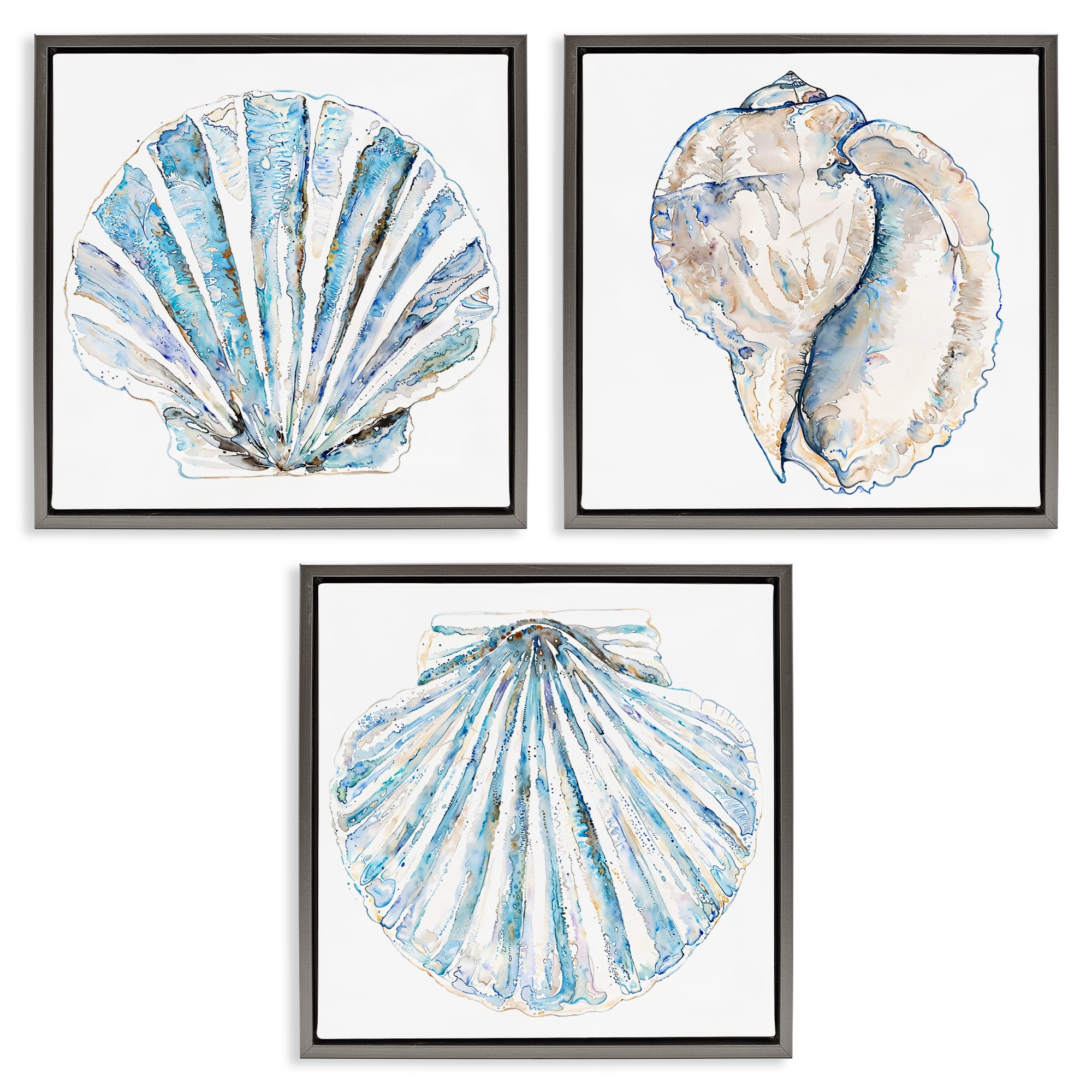 Stupell Industries Clam & Conch Watercolors Nautical & Beach Painting Gray Floater Framed Canvas Art Print Wall Art, 18 x 18, Set of 3