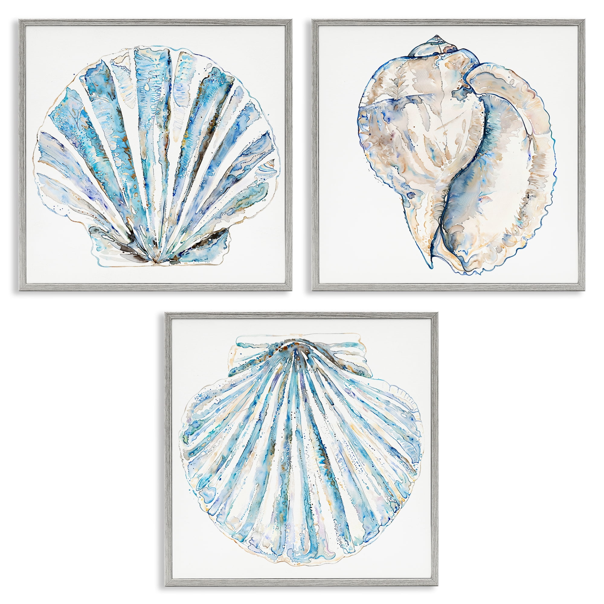 Stupell Industries Clam & Conch Watercolors Nautical & Beach Painting Gray Framed Art Print Wall Art, 12 x 12, Set of 3