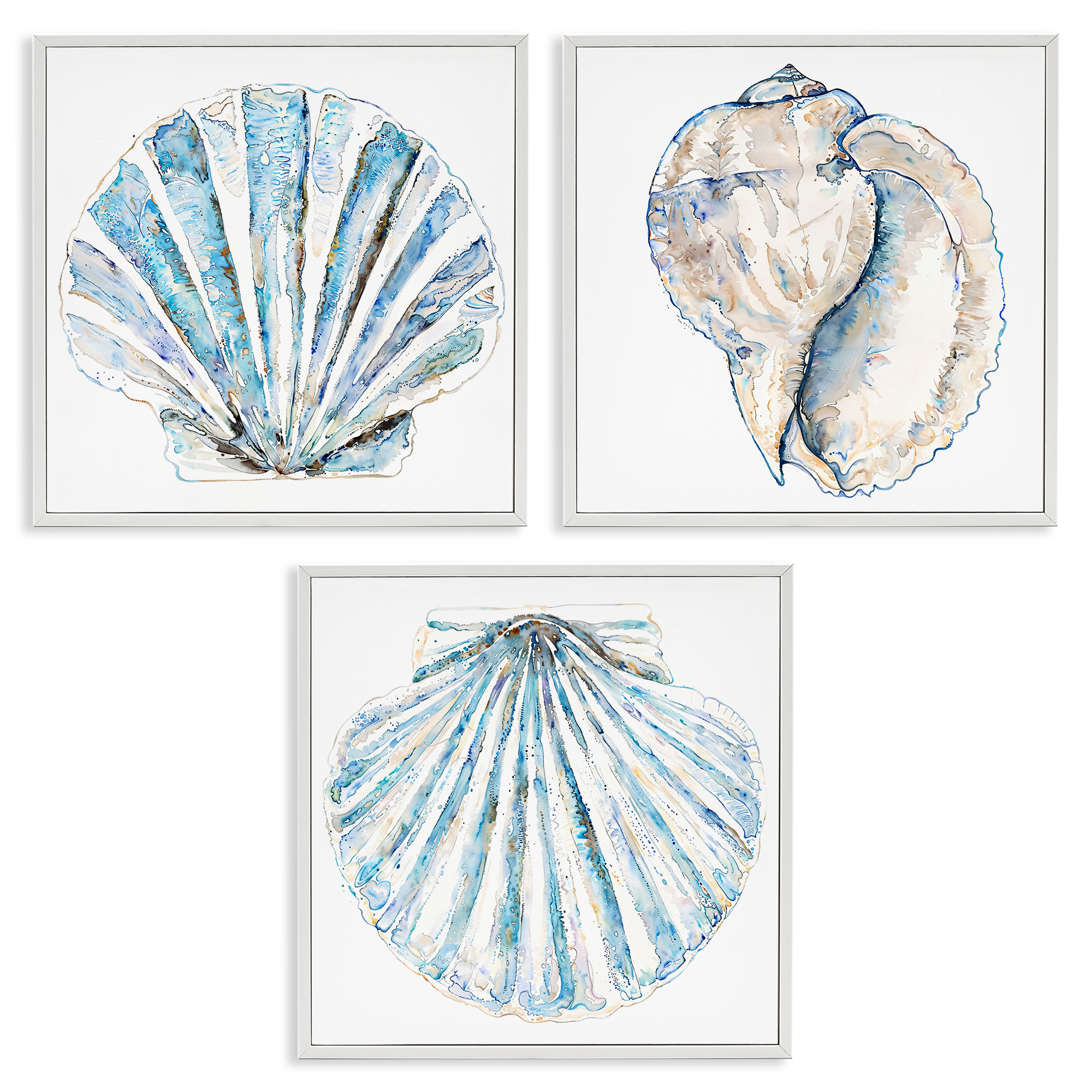 Stupell Industries Clam & Conch Watercolors Nautical & Beach Painting White Framed Art Print Wall Art, 12 x 12, Set of 3