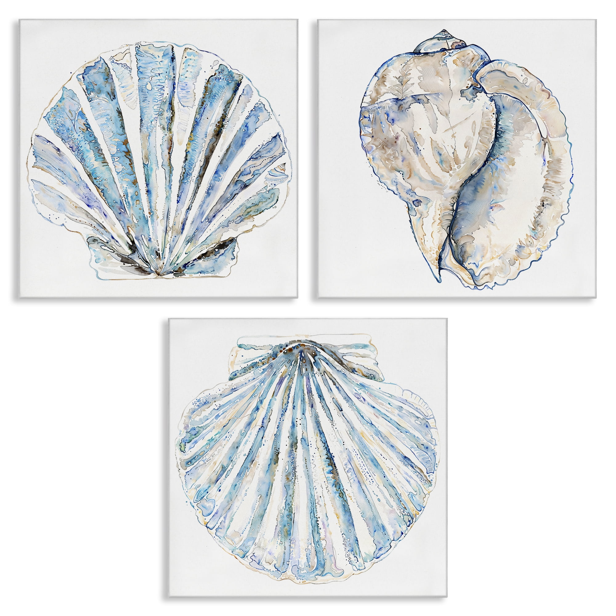 Stupell Industries Clam & Conch Watercolors Nautical & Beach Painting Wrapped Canvas Art Print Wall Art, 17 x 17, Set of 3