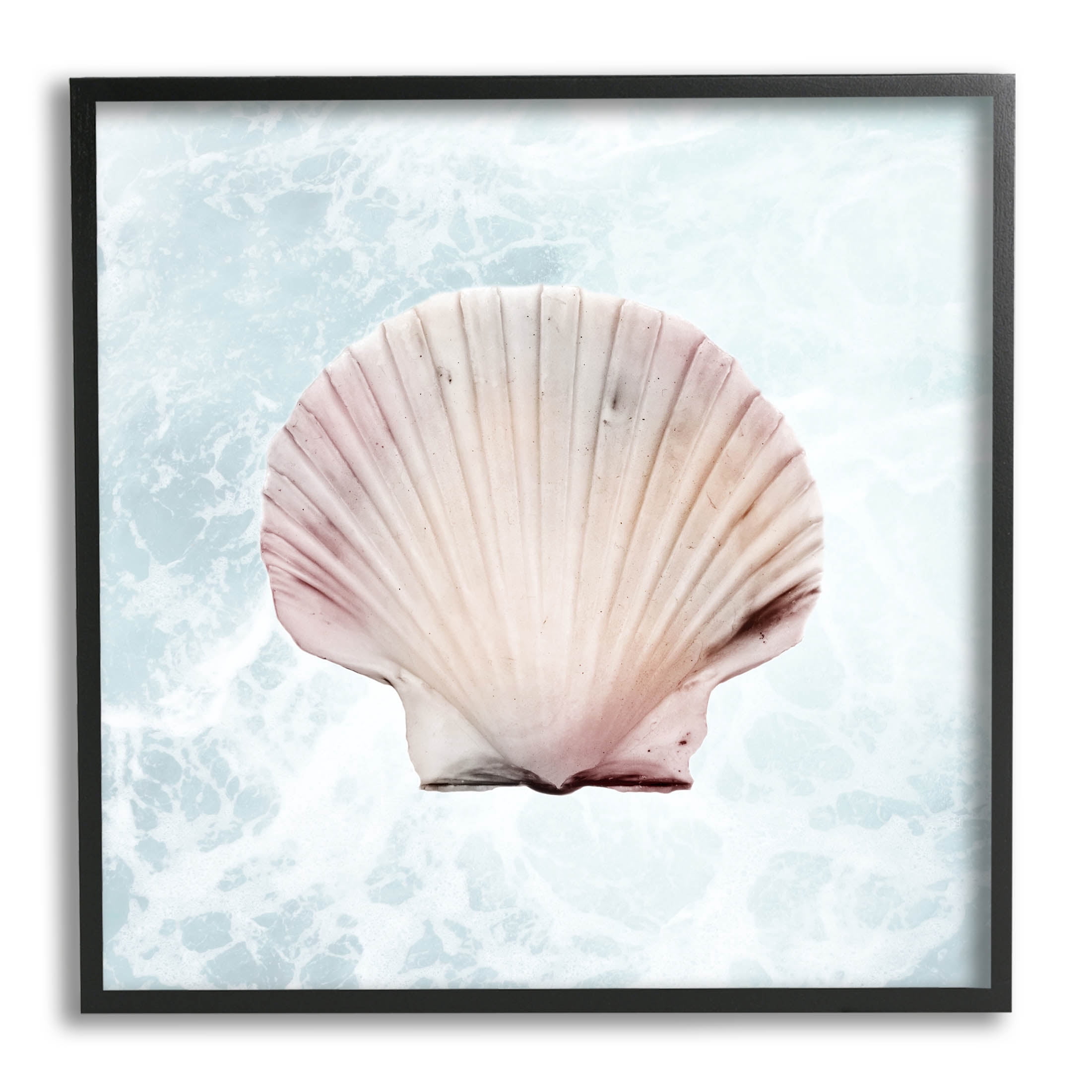 Stupell Industries Clam Shell Sea Water Graphic Art Black Framed Art Print Wall Art, Design by Marcus Prime