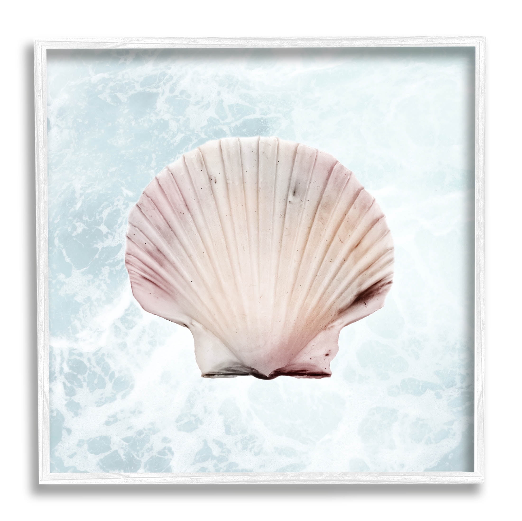 Stupell Industries Clam Shell Sea Water Graphic Art White Framed Art Print Wall Art, Design by Marcus Prime