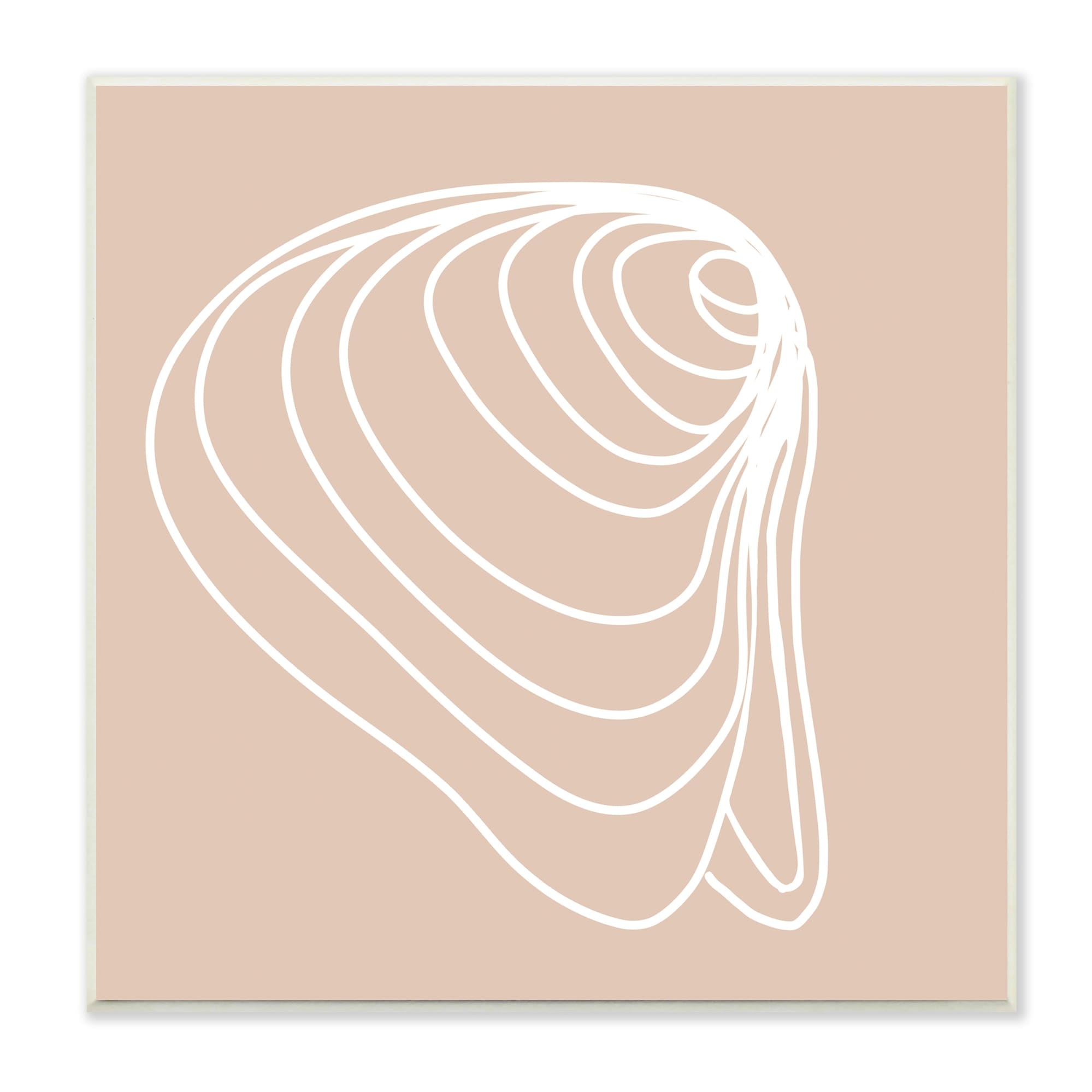 Stupell Industries Clam Shell Seashell Stripes Casual Line Doodle Graphic Art Unframed Art Print Wall Art, Design by Daphne Polselli