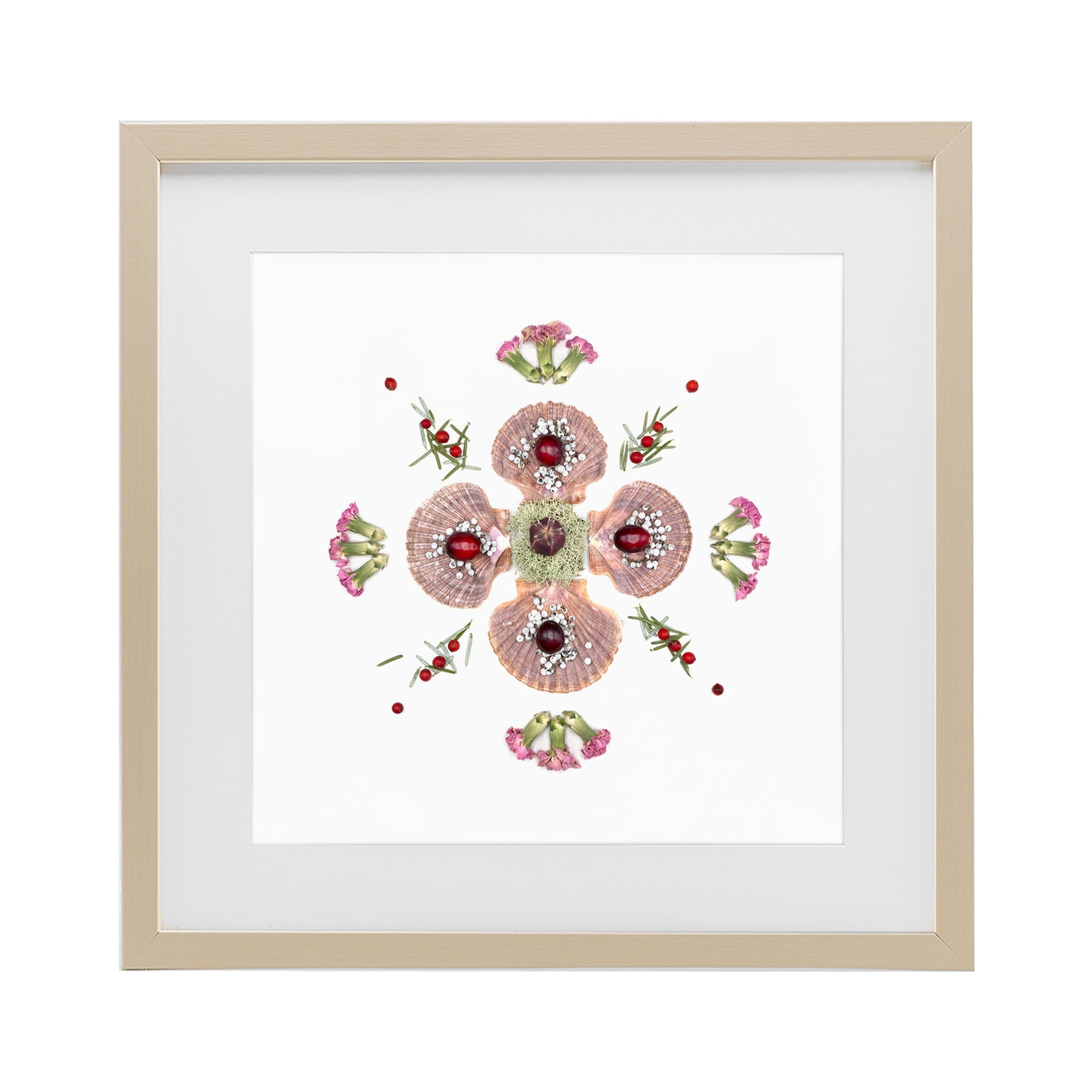 Stupell Industries Clam Shells & Botanicals Pattern Birch Framed Print Under Glass, design by Beth Adoette