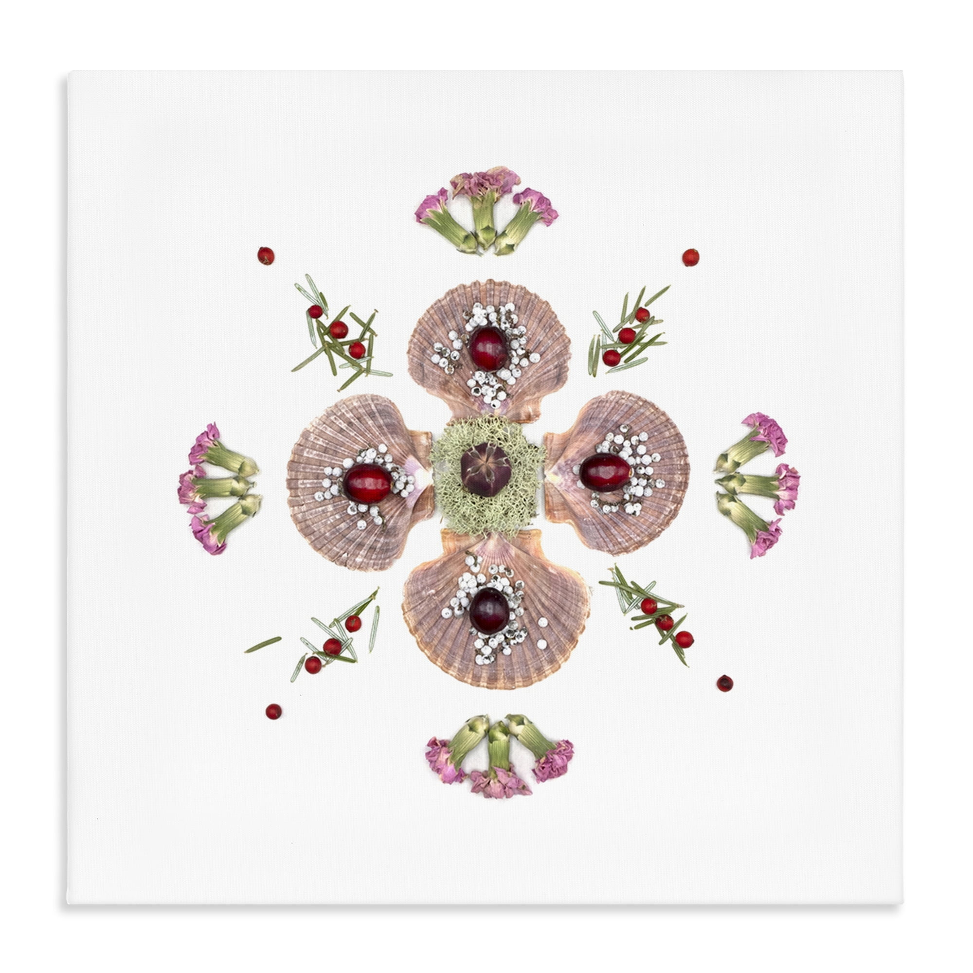 Stupell Industries Clam Shells & Botanicals Pattern Canvas Wall Art, design by Beth Adoette