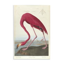 Stupell Industries Classic American Flamingo Animals Painting Unframed Art Print Wall Art, 10 x 15