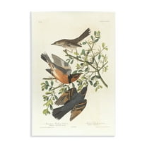 Stupell Industries Classic Audubon Bird Study Animals Painting Unframed Art Print Wall Art, 10 x 15