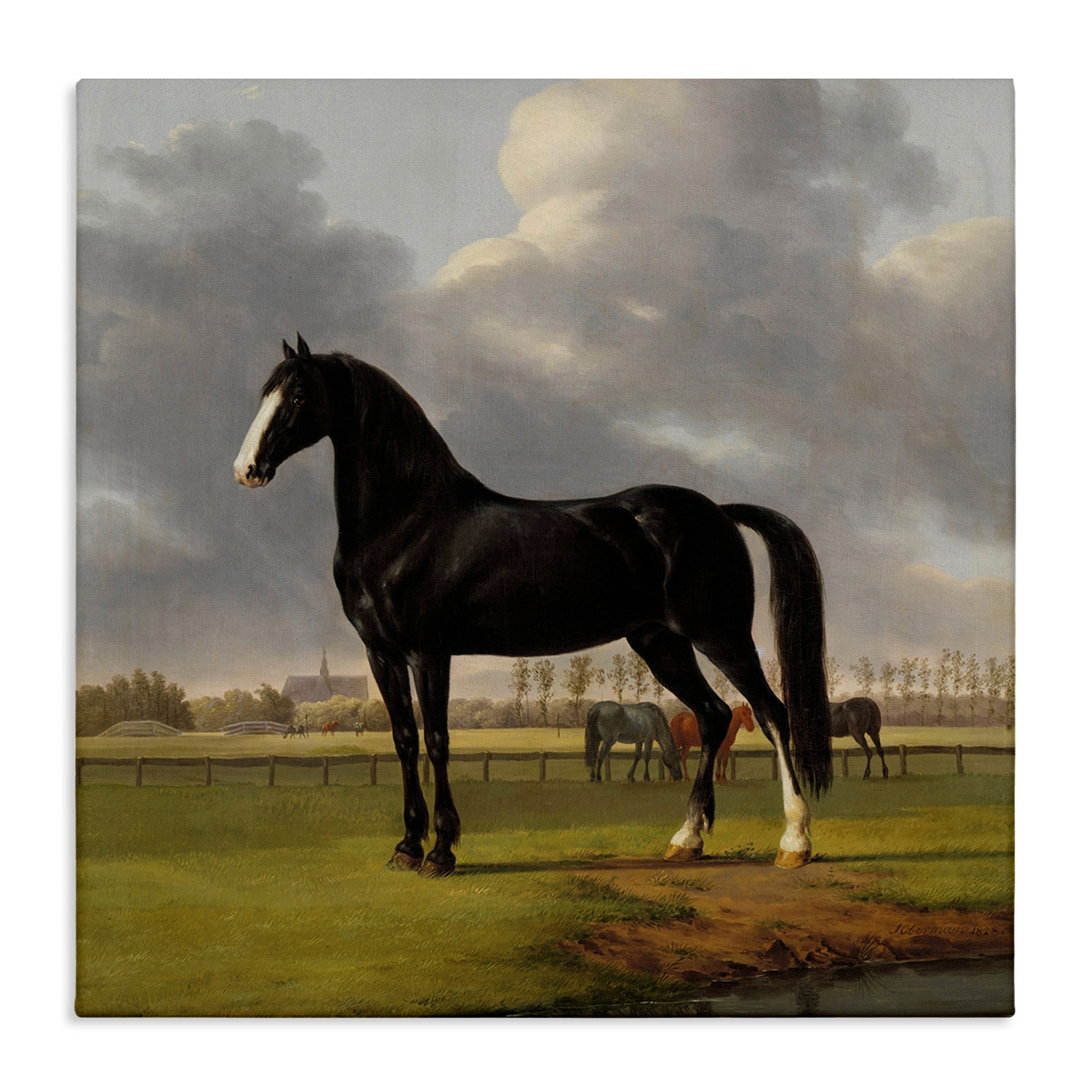 Stupell Industries Classic Black Stallion Animals Painting Wrapped Canvas Art Print Wall Art, 36 x 36
