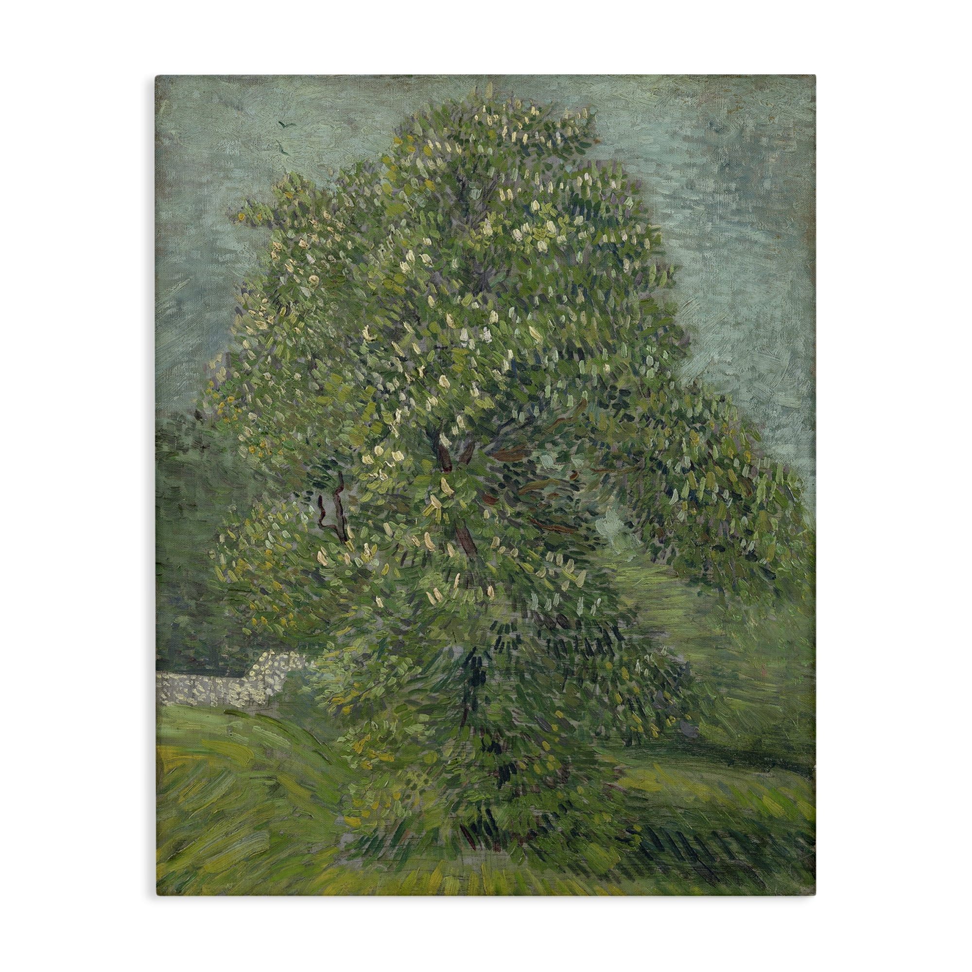 Stupell Industries Classic Blooming Horse Chestnut Landscape & Nature Painting Wrapped Canvas Art Print Wall Art, 16 x 20