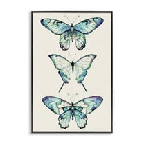 Stupell Industries Classic Butterfly Specimens Insects Painting Black Framed Art Print Wall Art, 12 x 18