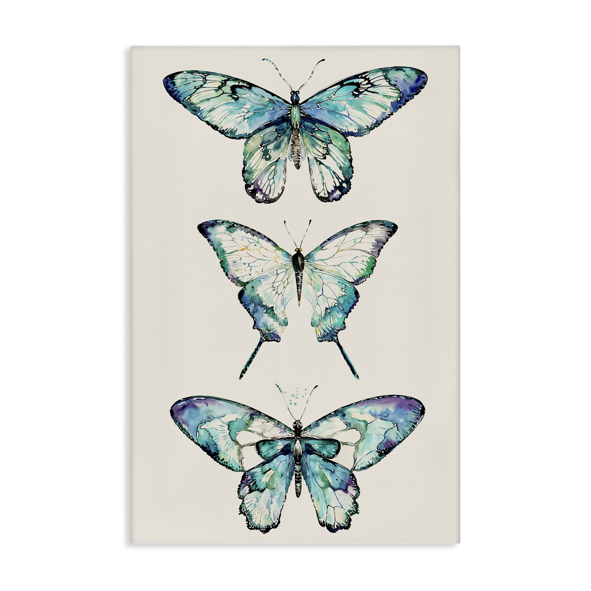 Stupell Industries Classic Butterfly Specimens Insects Painting Wrapped Canvas Art Print Wall Art, 20 x 30