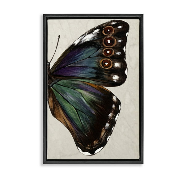 Stupell Industries Classic Butterfly Wing Animals & Insects Painting Black Floater Framed Canvas Art Print Wall Art, 17 x 25