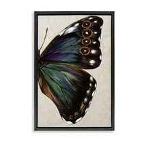 Stupell Industries Classic Butterfly Wing Animals & Insects Painting Black Floater Framed Canvas Art Print Wall Art, 17 x 25