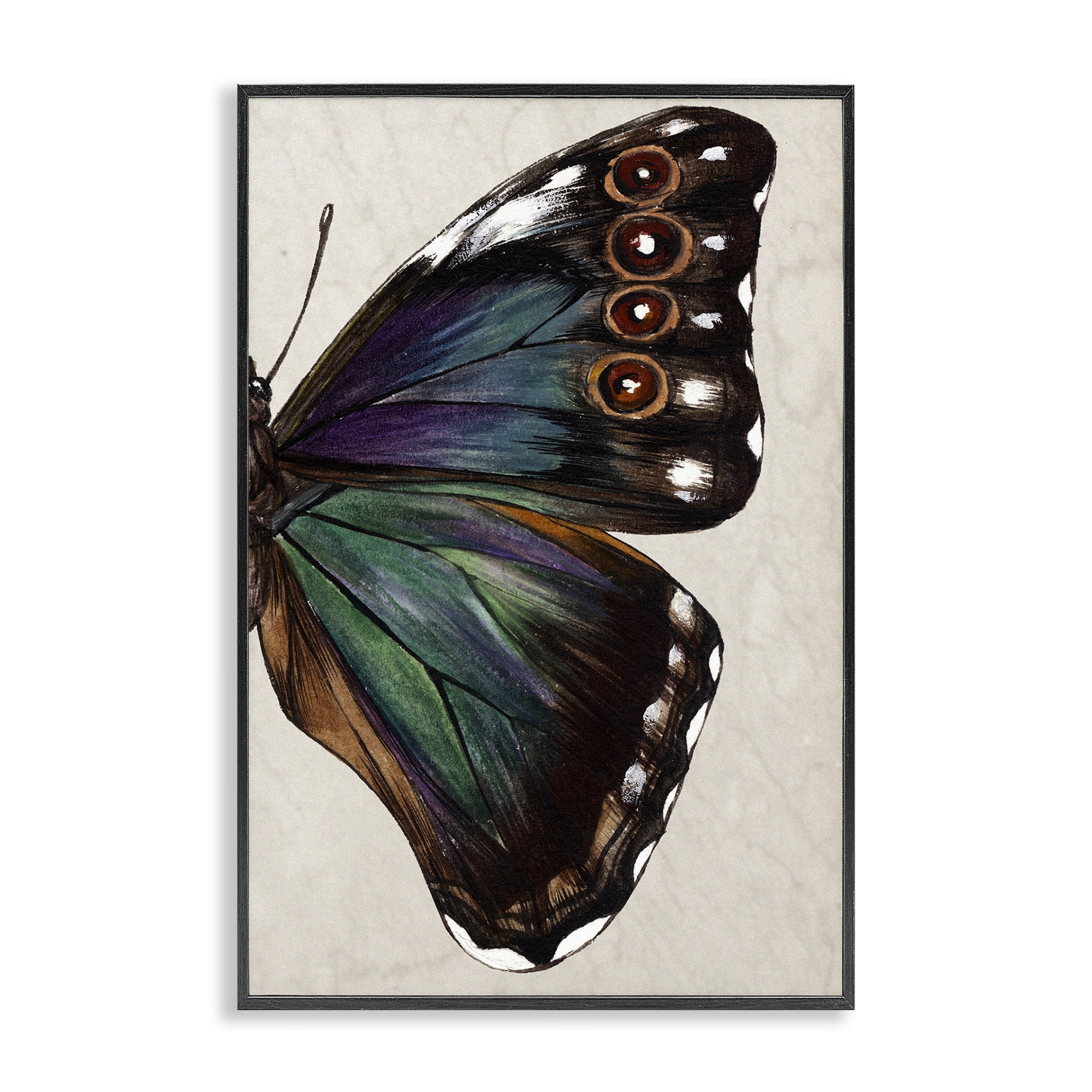 Black Framed Butterfly Wing Canvas Print, 12" x 18"
