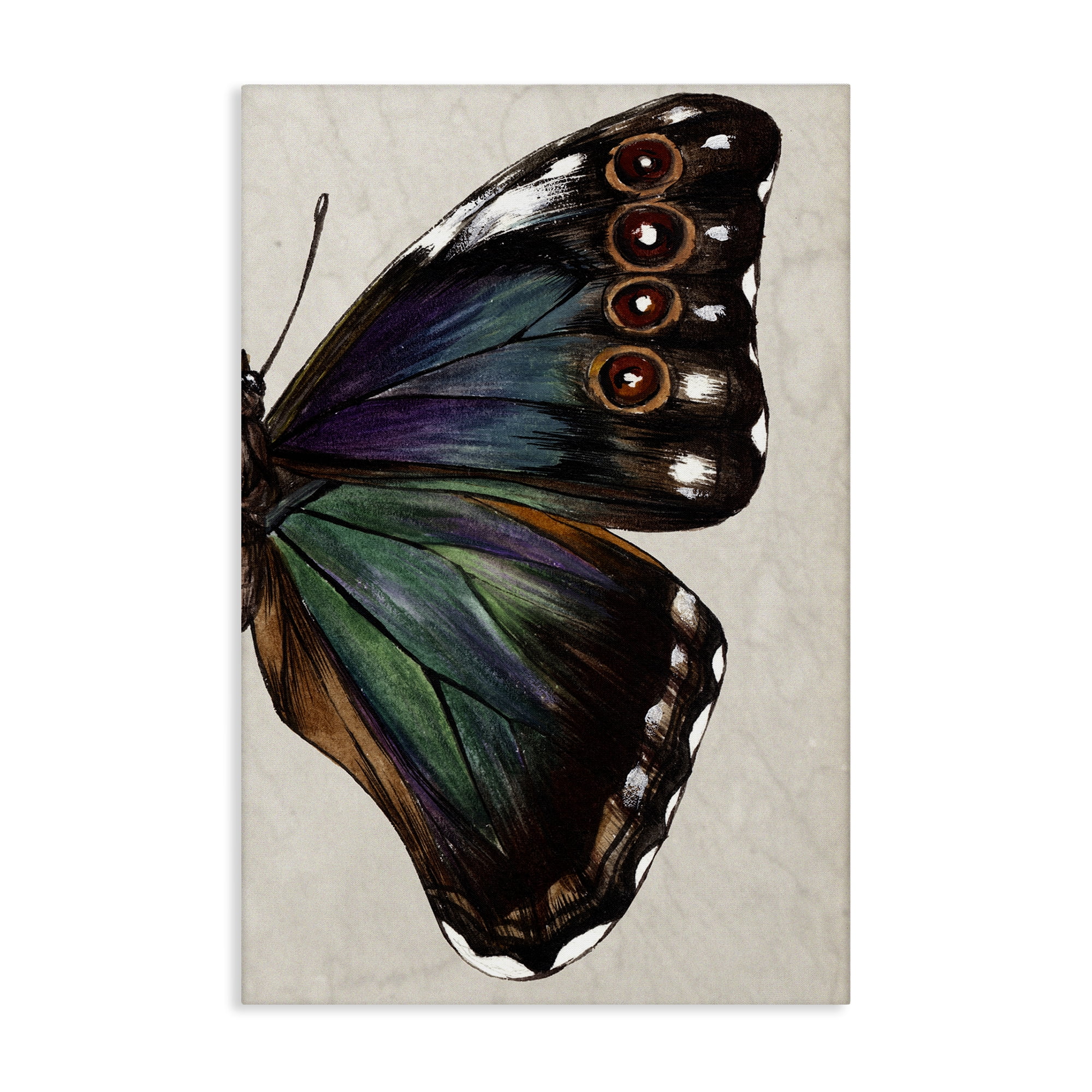 Stupell Industries Classic Butterfly Wing Animals & Insects Painting Gallery Wrapped Canvas Art Print Wall Art, 20 x 30