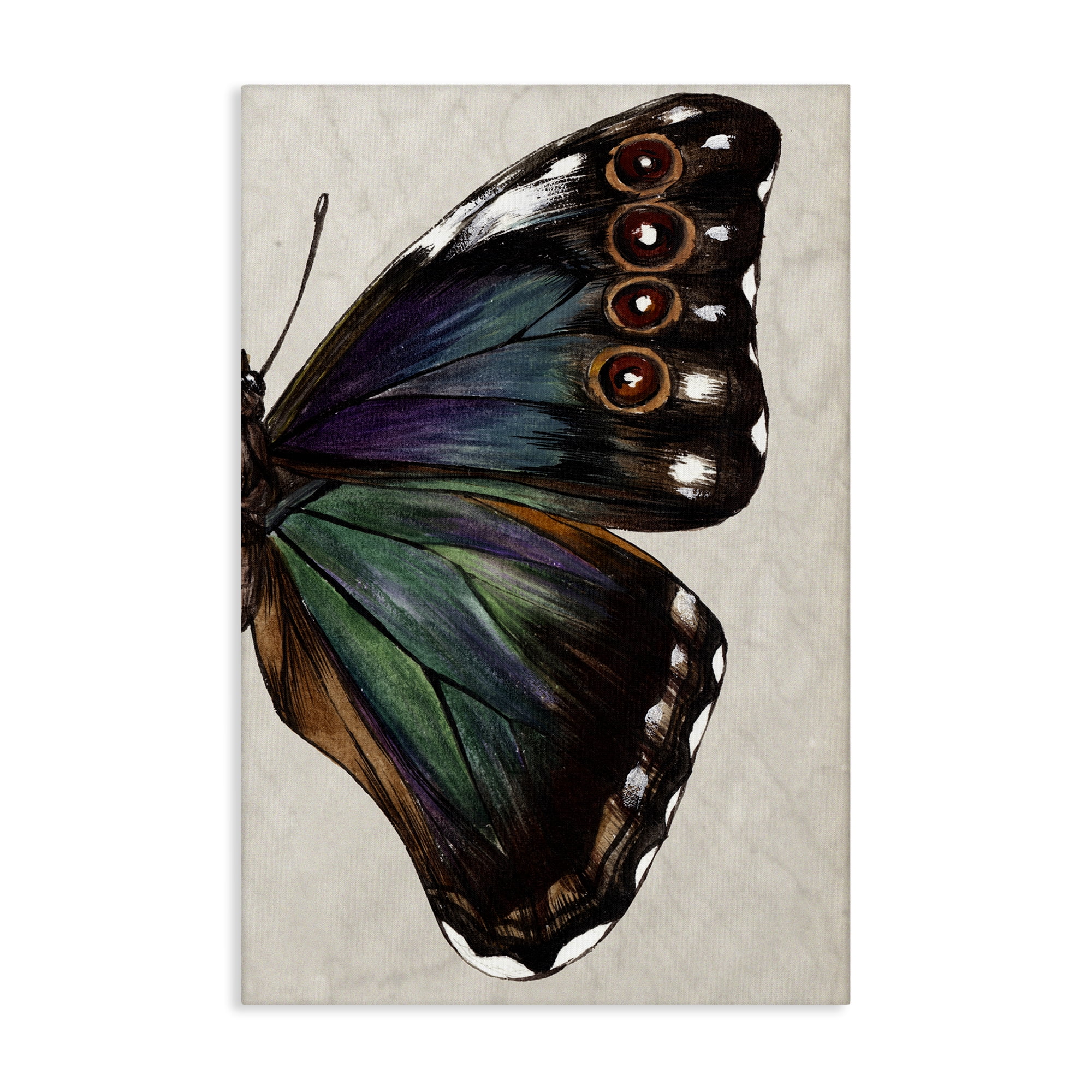 Stupell Industries Classic Butterfly Wing Animals & Insects Painting Gallery Wrapped Canvas Art Print Wall Art, 30 x 45