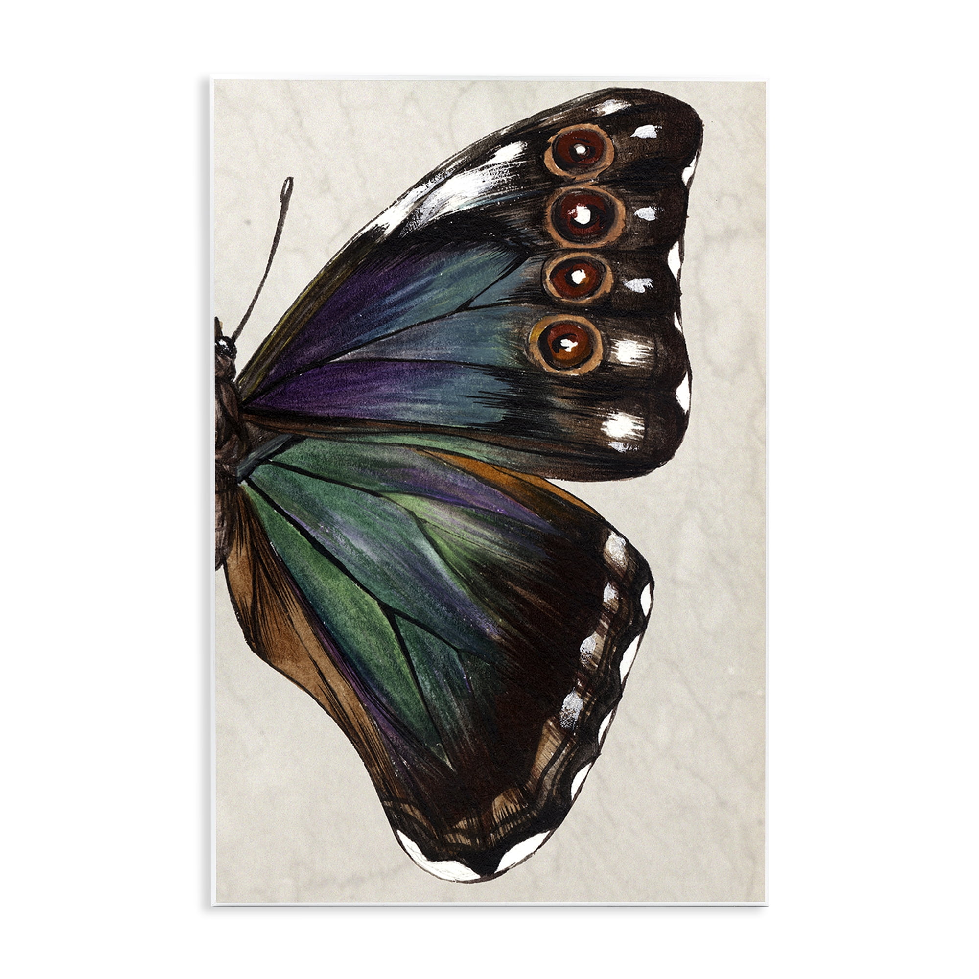 Stupell Industries Classic Butterfly Wing Animals & Insects Painting Unframed Art Print Wall Art, 10 x 15