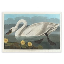 Stupell Industries Classic Common American Swan Animals Painting Unframed Art Print Wall Art, 15 x 10