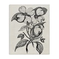 thumbnail image 1 of Stupell Industries Cottage Classic Cut of Dogwood Canvas Art, 30 x 40, by Karen Smith, 1 of 7