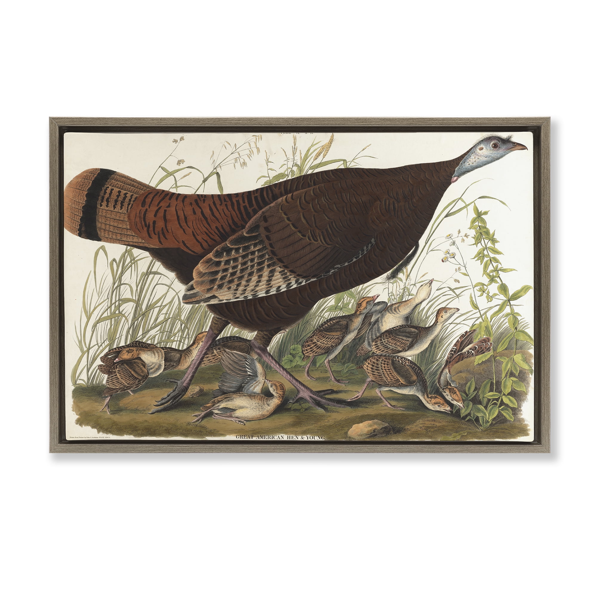Stupell Industries Classic Great American Hen Animals Painting Brown Floater Framed Canvas Art Print Wall Art, 31 x 21
