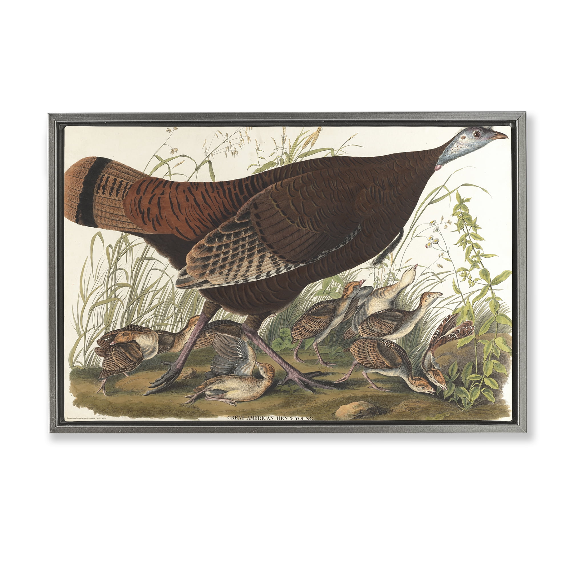 Stupell Industries Classic Great American Hen Animals Painting Gray Floater Framed Canvas Art Print Wall Art, 25 x 17
