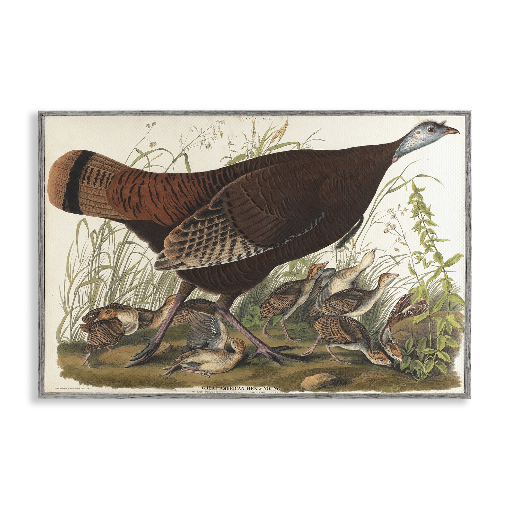 Stupell Industries Classic Great American Hen Animals Painting Gray Framed Art Print Wall Art, 30 x 20