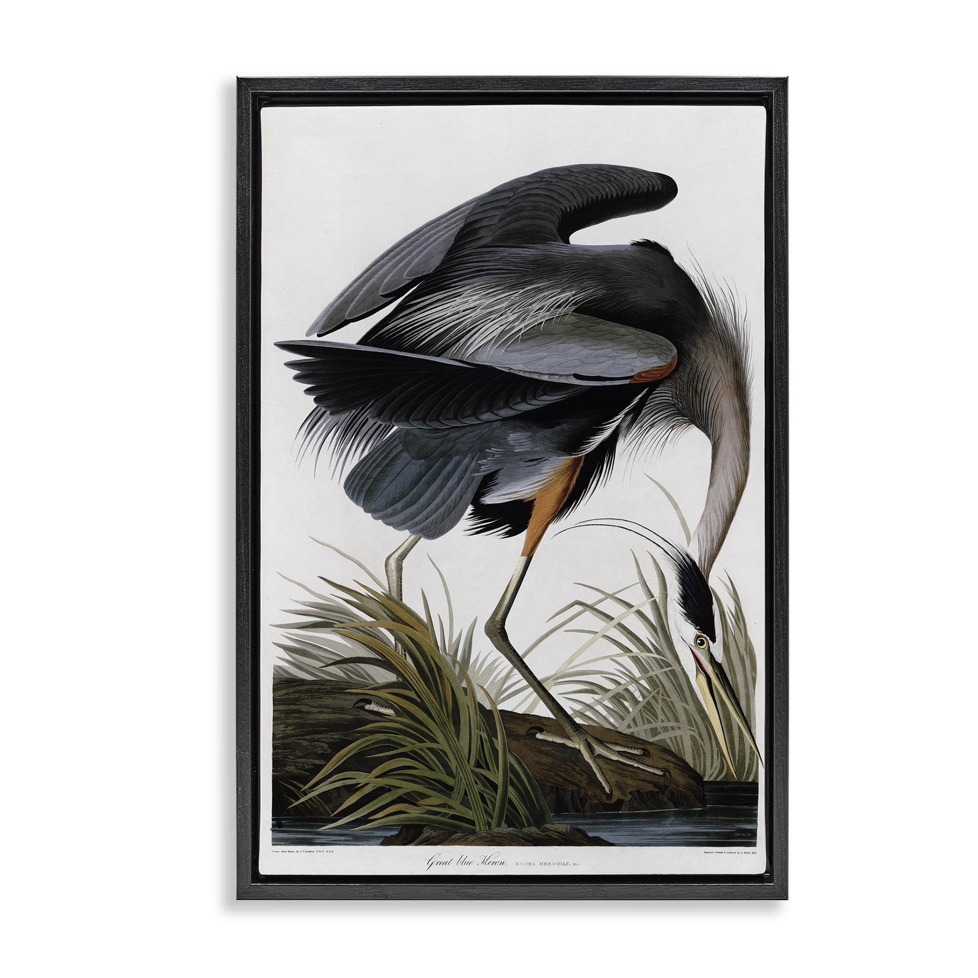 Stupell Industries Classic Heron at Lake Animals & Insects Painting Black Floater Framed Canvas Art Print Wall Art, 21 x 31
