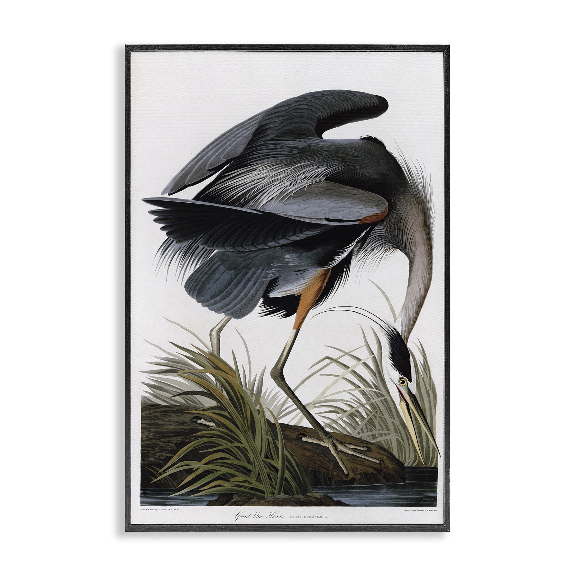 Stupell Industries Classic Heron at Lake Animals & Insects Painting Black Framed Art Print Wall Art, 20 x 30