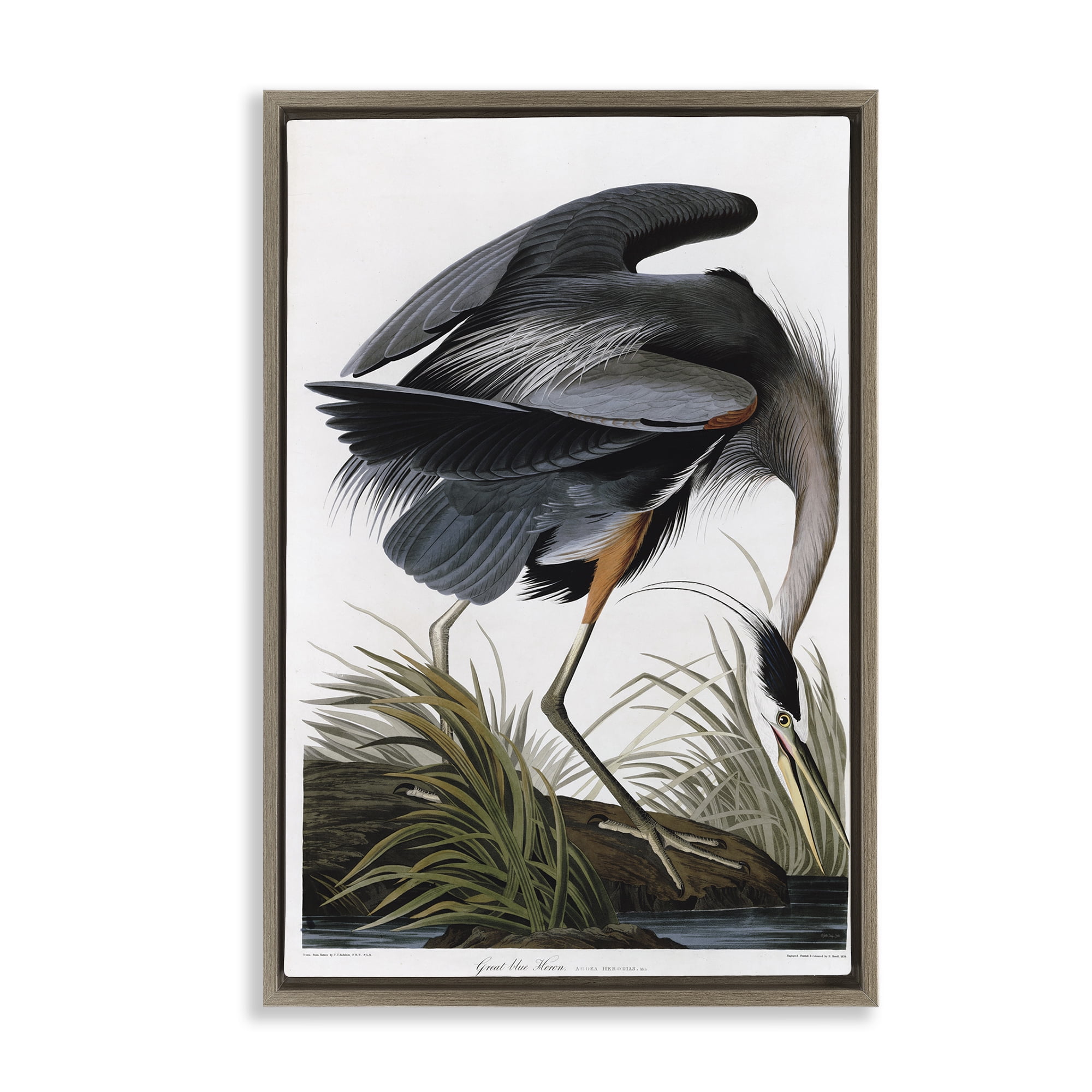 Stupell Industries Classic Heron at Lake Animals & Insects Painting Brown Floater Framed Canvas Art Print Wall Art, 21 x 31