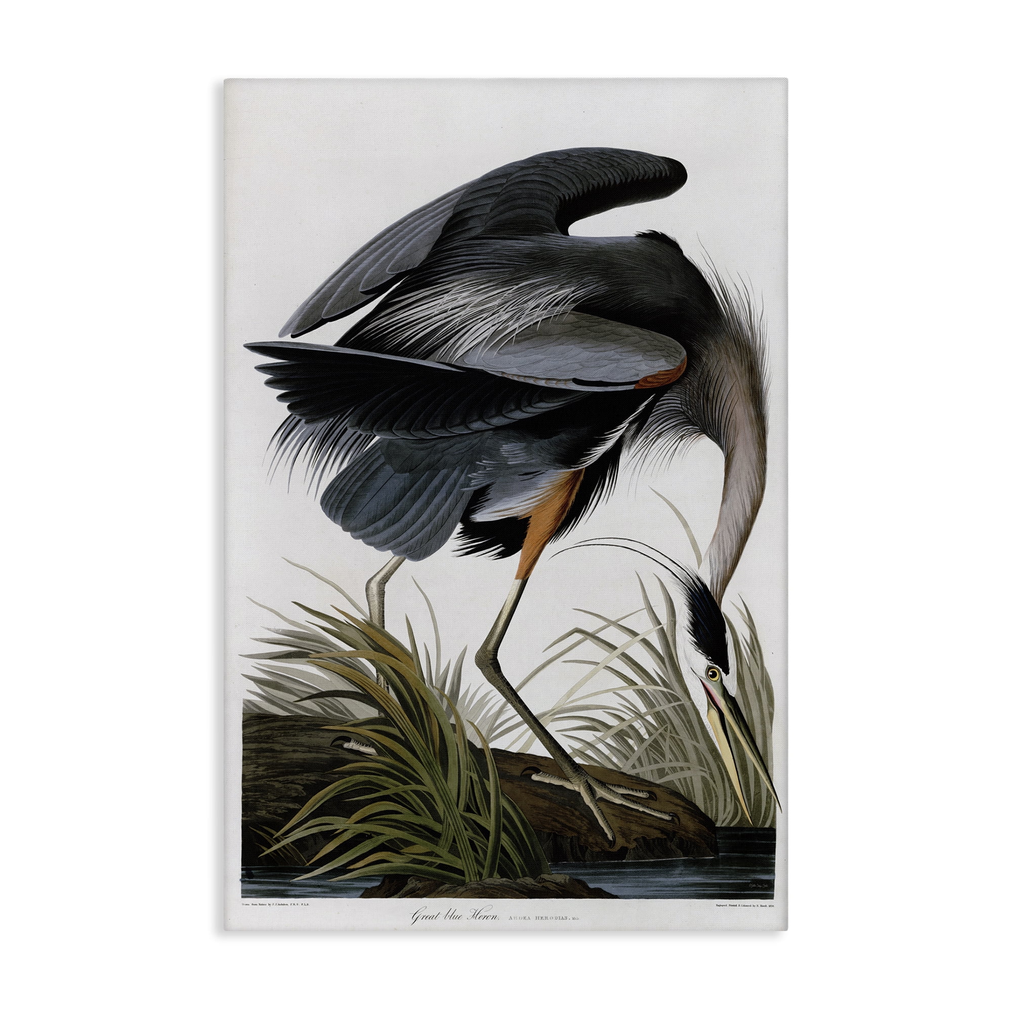 Stupell Industries Classic Heron at Lake Animals & Insects Painting Gallery Wrapped Canvas Art Print Wall Art, 16 x 24